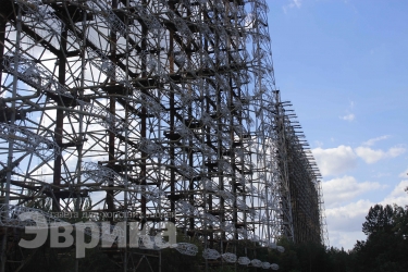 Дятел на секретной макаронной фабрике