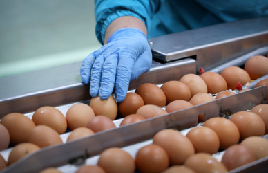 Яйца – не дороже 540 тенге за десяток