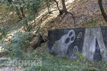 Приглашение на шабаш