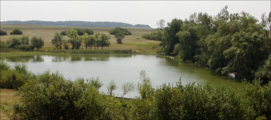 Карта Актюбинской Области Айтекебийский Район