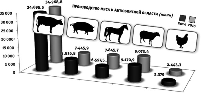 Производство мяса в Актюбинской области