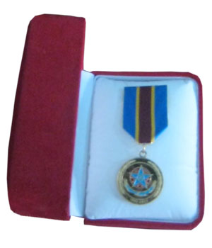 Офицера, спасшего из огня 12 человек, наградили медалью